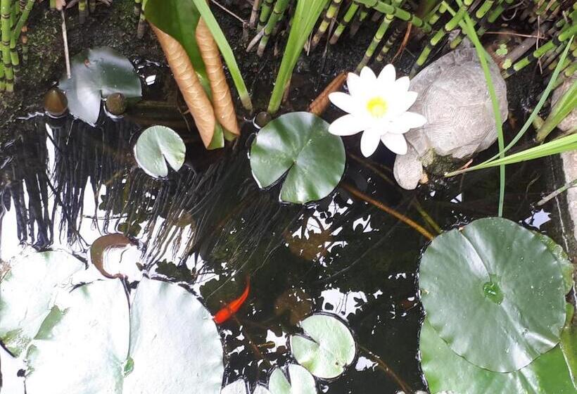 חדר סטנדרט נוף לגינה, Le Moulin Neuf De Parenty