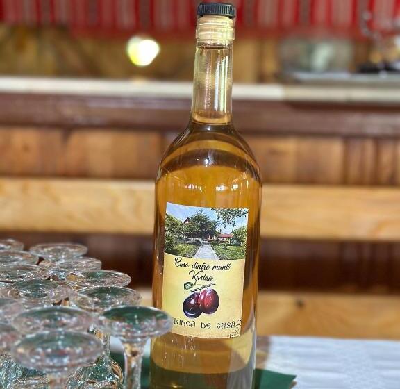 Вилла 1 Спальня, Casa Dintre Munti Karina