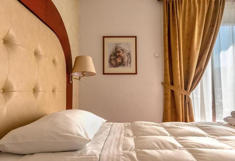 غرفة قياسية فردية, Alexios