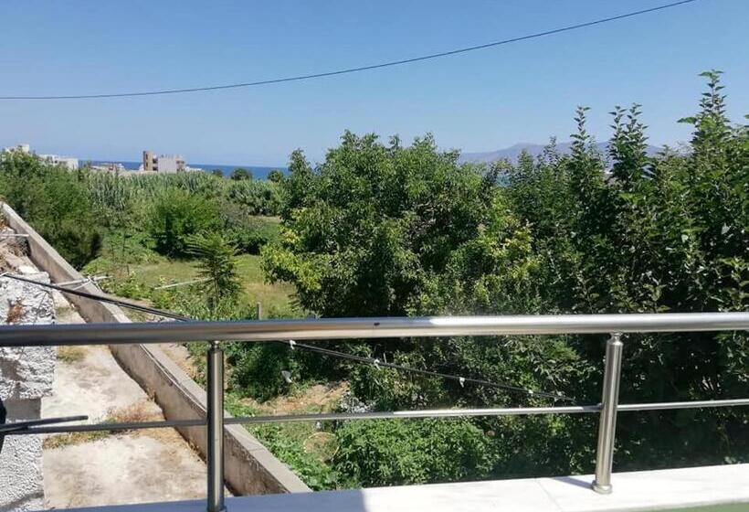 标准单人间, Bikakis Family Apartments