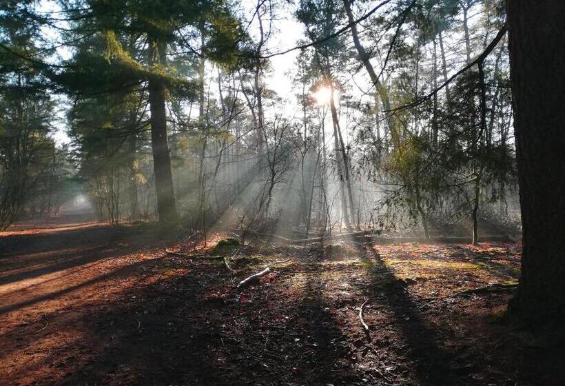 اتاق استاندارد با تخت بزرگ, Bed & Breakfast Neeltje Soet