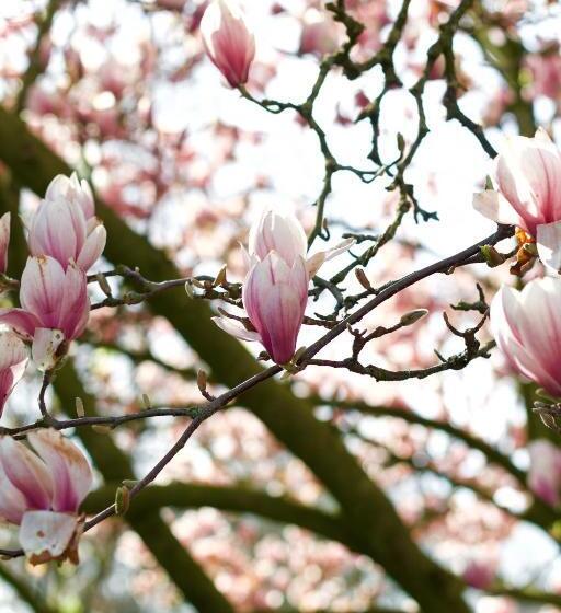 اتاق استاندارد با چشم‌انداز باغ, Bed & Breakfast Neeltje Soet