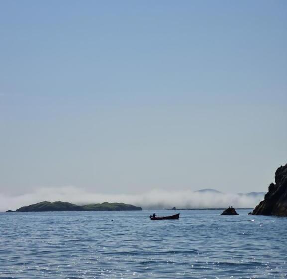 اتاق لوکس, No.8