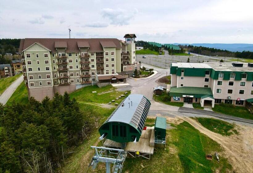 شقة 3 غرف, Remodeled Ski In Out   305 Soaring Eagle   Luxury!