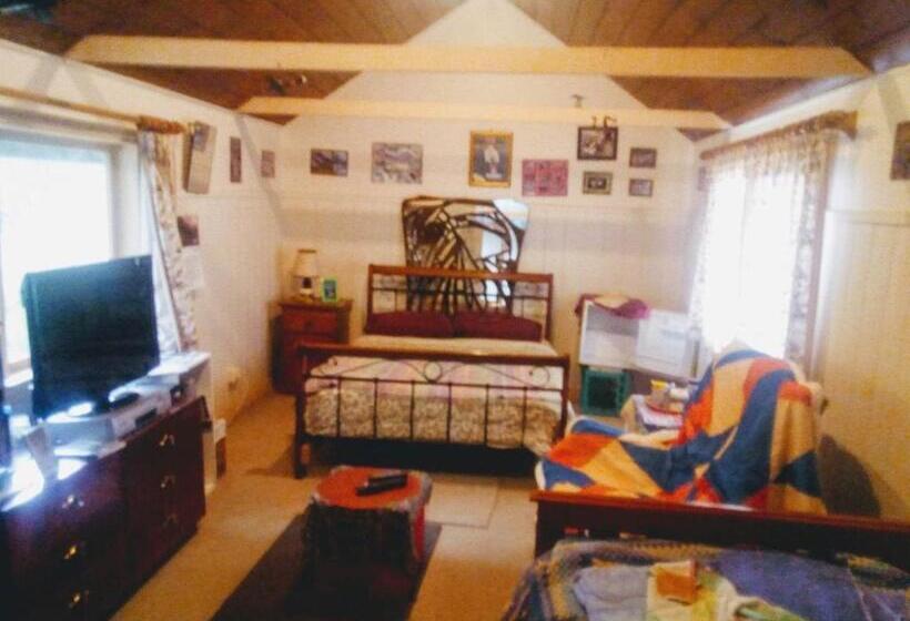 اتاق استاندارد, Sylvia Lodge A Step Back In Time Pet Friendly Homestay