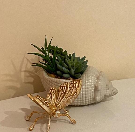 غرفة ديلوكس مطلّة علي البحر, Beach Street Inn