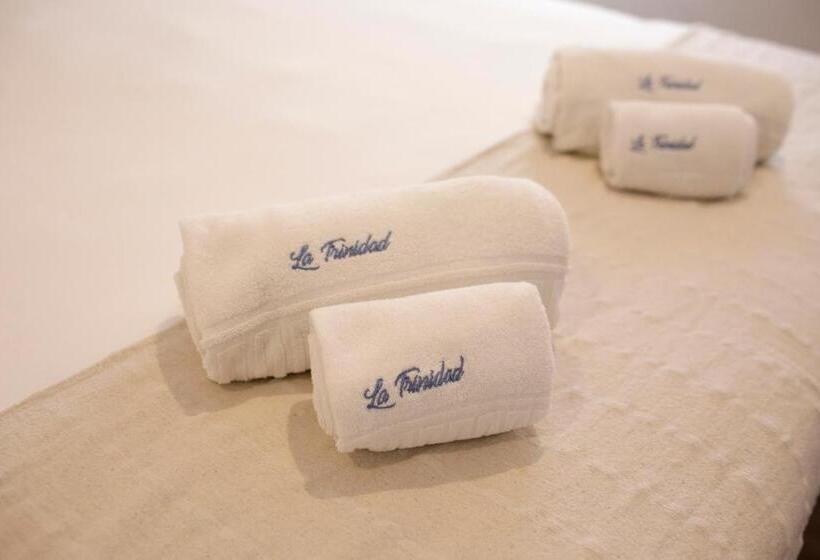 اتاق سوپریور با تخت بزرگ, La Trinidad Córdoba Great Location