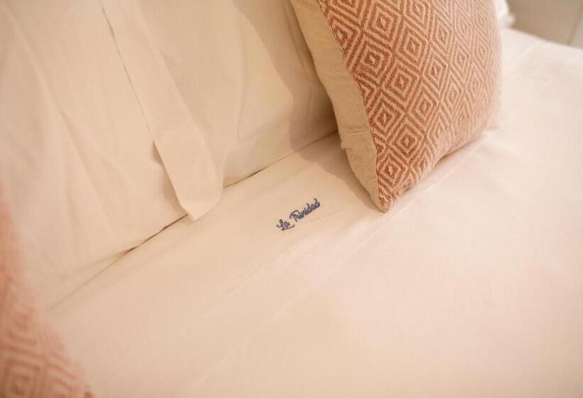 اتاق سوپریور با تخت بزرگ, La Trinidad Córdoba Great Location