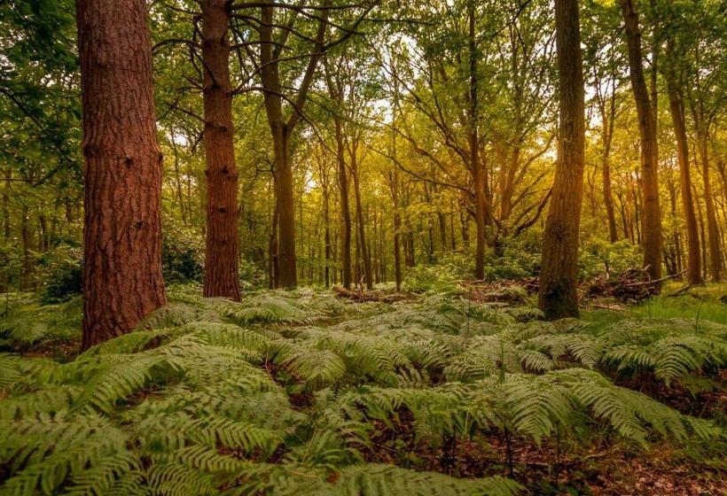 منزل غرفتين نوم, Whitmoor Farm