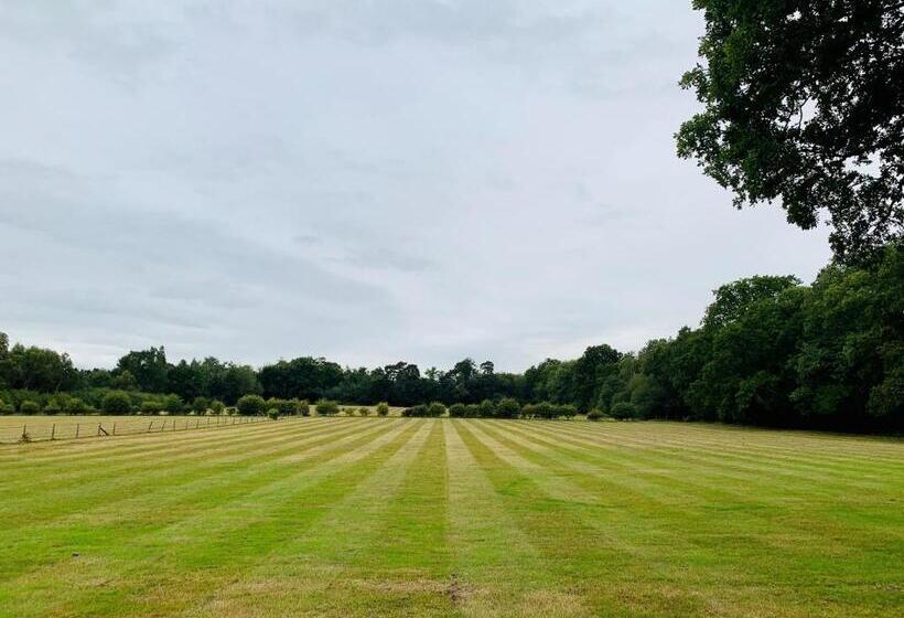 شاليه غرفة نوم واحدة, Whitmoor Farm