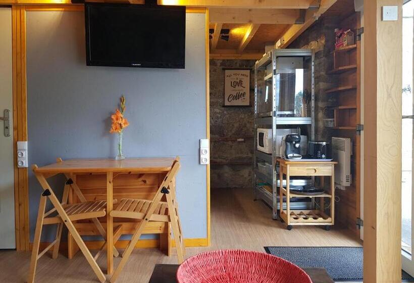 חדר סטנדרט, Duplex Swimming Cats