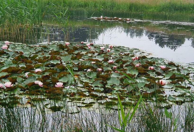 Номер Стандарт, B & B De Stok