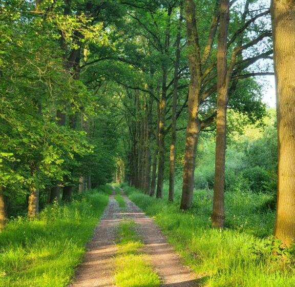 Номер Стандарт, B & B De Stok