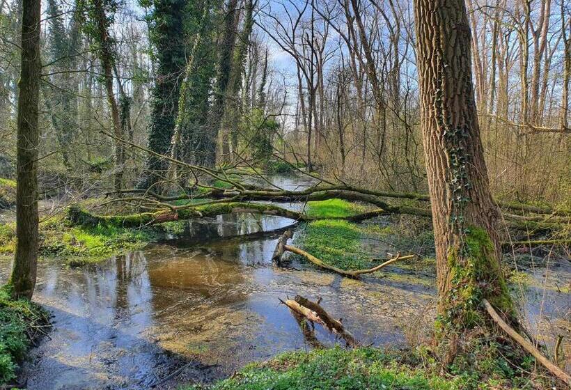 Номер Стандарт, B & B De Stok