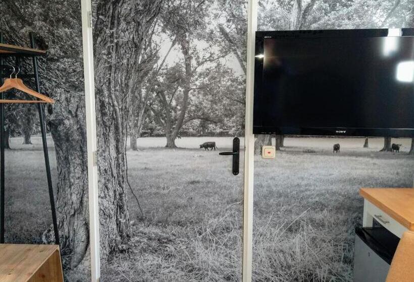 غرفة قياسية, B&b Katoo