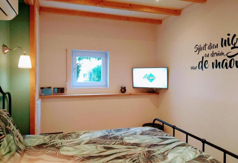 غرفة قياسية, B&b Katoo