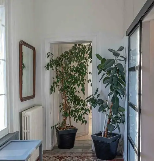 バス共有のスタンダードルーム, Chambre D Hôtes Les Jardins De Marie, Sci Charles Iii