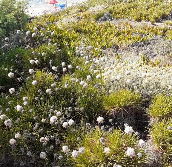 דירת חדר נוף לגינה, Casa Mirice In Residence Con Piscina ,wifi,climatizzatore Vicino Al Mare