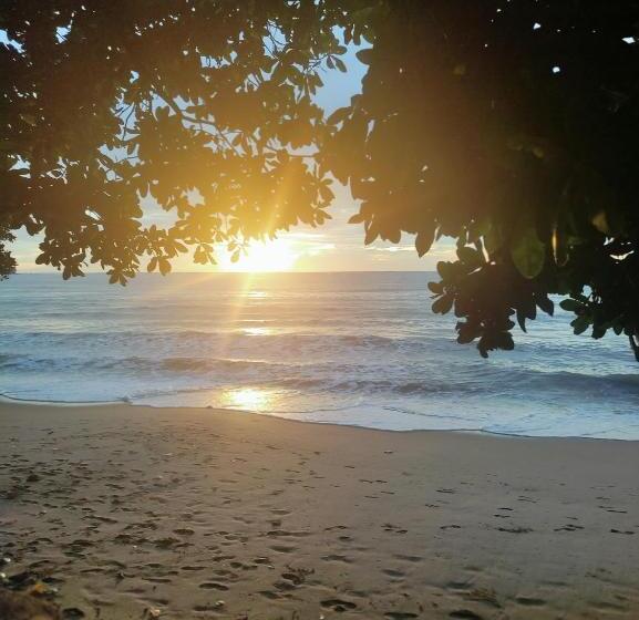 غرفة ديلوكس مطلّة علي البحر, Condominium Lippo Carita Selatan   Lantai Dasar