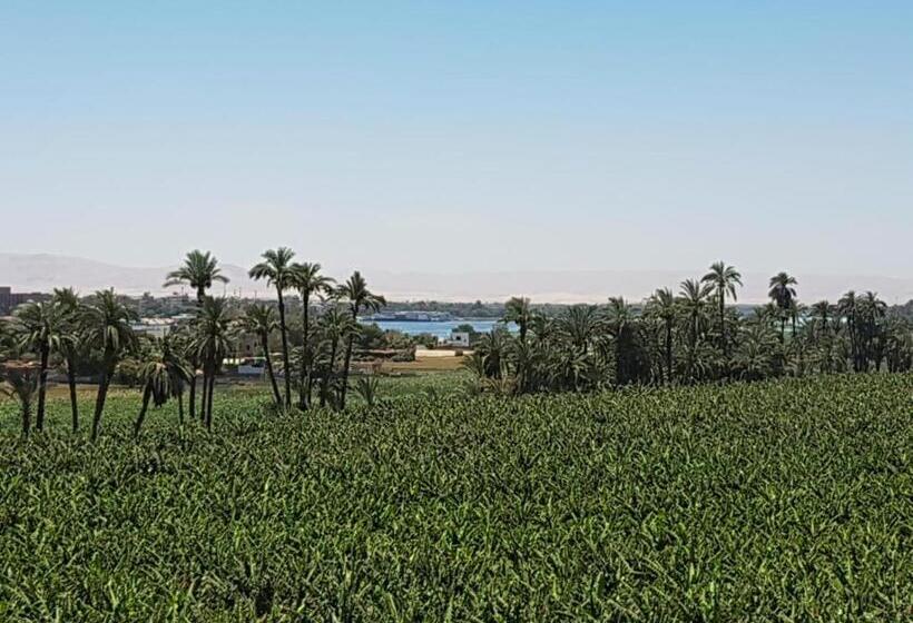 اتاق لوکس, Elsanosy Family Guest House   Luxor