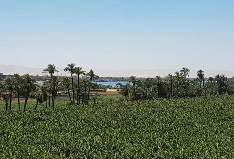 اتاق لوکس, Elsanosy Family Guest House   Luxor