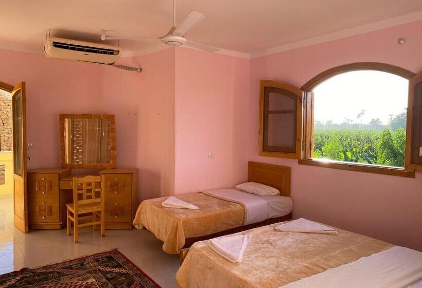 اتاق استاندارد سه نفره, Elsanosy Family Guest House   Luxor