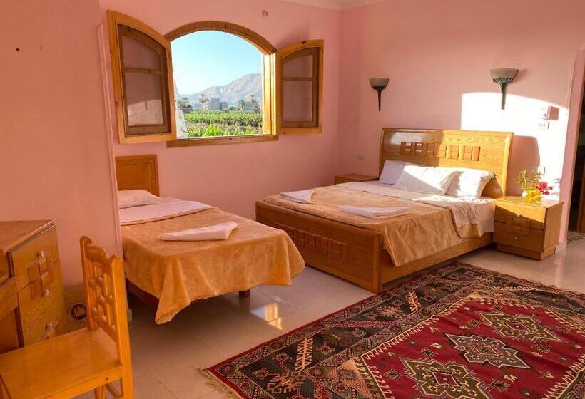 Quarto Triplo Estandar, Elsanosy Family Guest House   Luxor