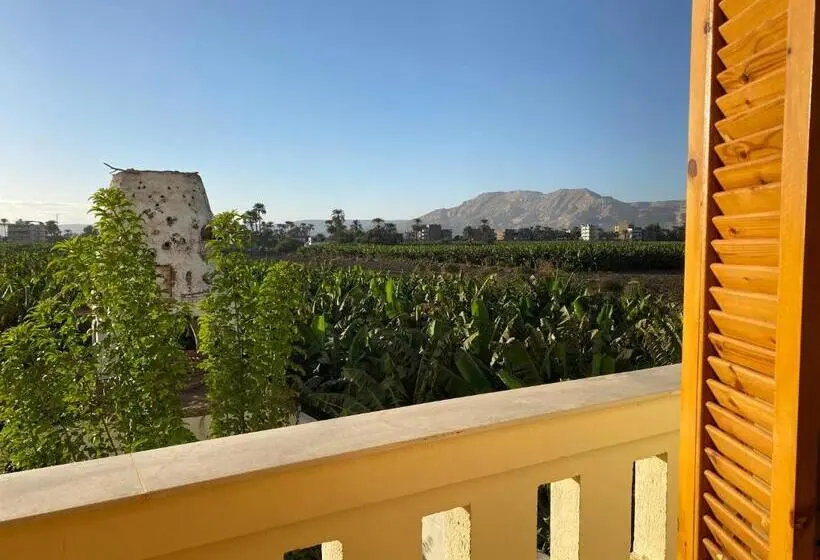 اتاق خانوادگی, Elsanosy Family Guest House   Luxor