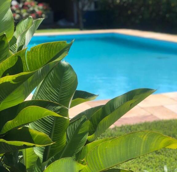 Шале 1 Спальня, Hostel 4 Elementos 200 Metros Da Praia De Pernambuco E Do Mar Casado