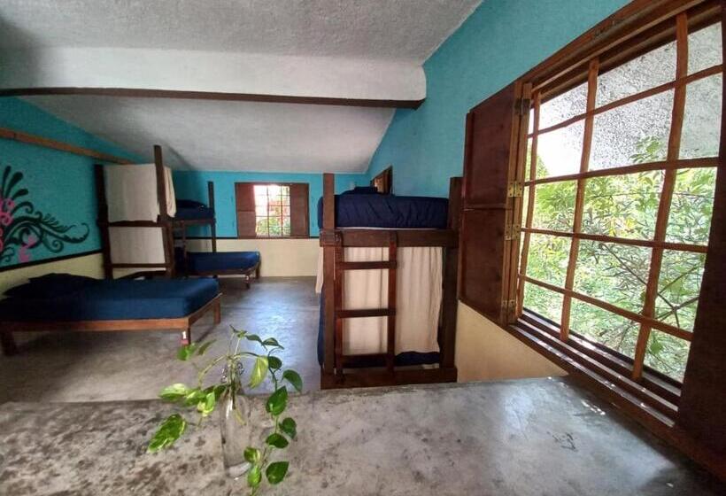 סטודיו משפחתי, Apartment Close To The Town Utopia