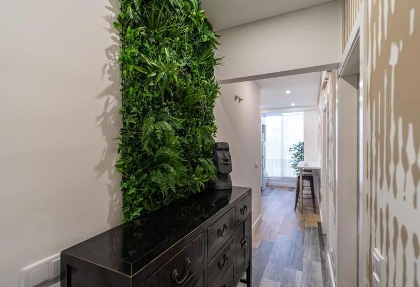 اتاق سوپریور, Plan Be Guesthouse