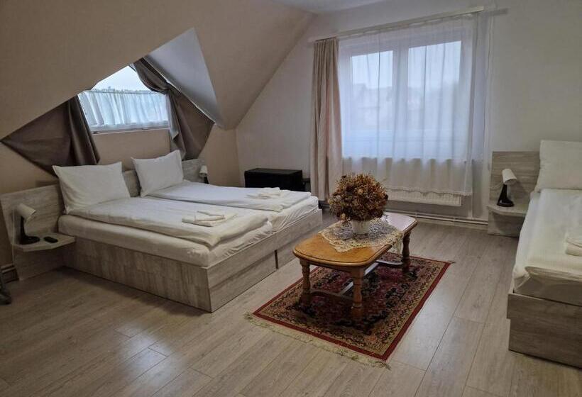 اتاق استاندارد سه نفره, Sepsi Relax