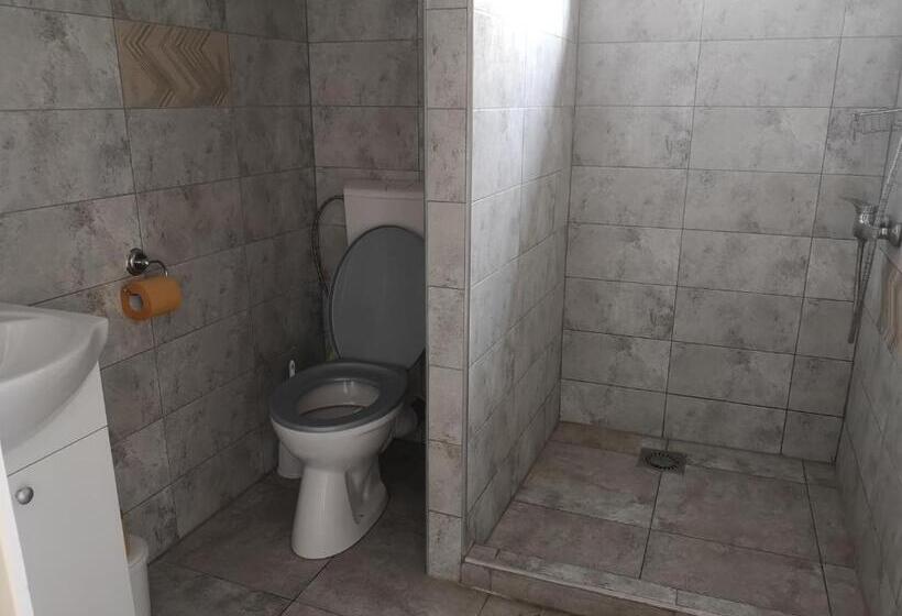 经济四人房间, Sepsi Relax