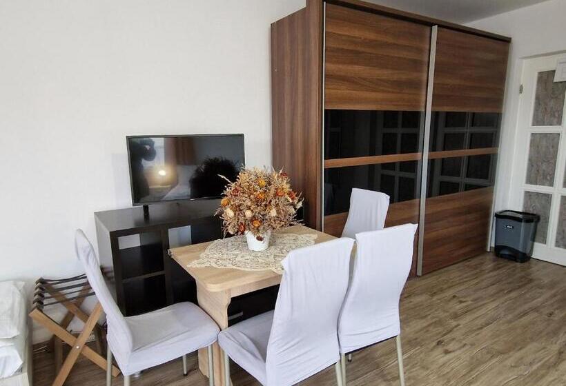 经济四人房间, Sepsi Relax