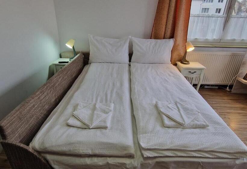 经济四人房间, Sepsi Relax