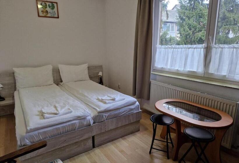 带1个卧室的公寓, Sepsi Relax