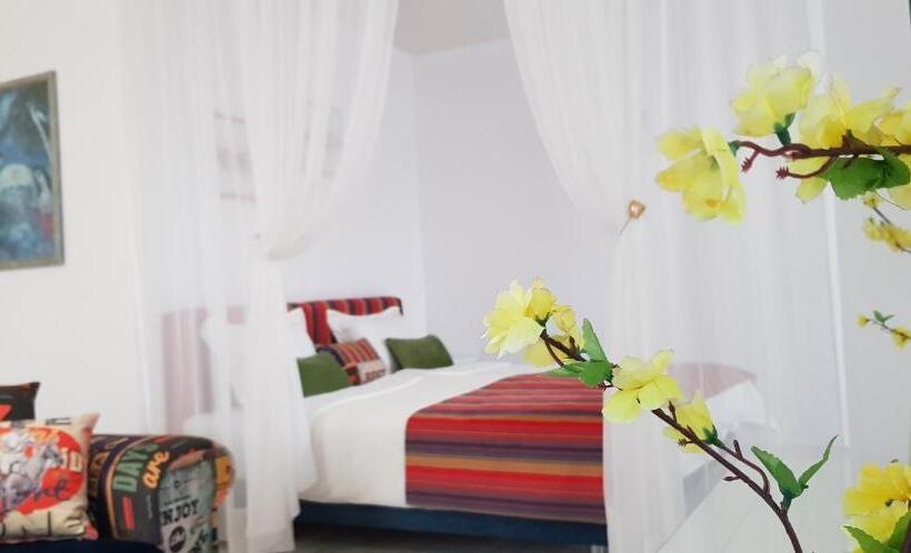 스탠다드 스튜디오, Aparthotel Olympus Plaza