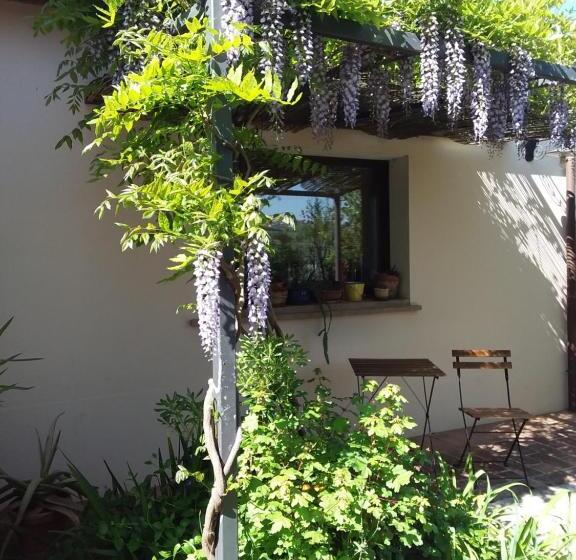 غرفة ديلوكس, I Tamerici