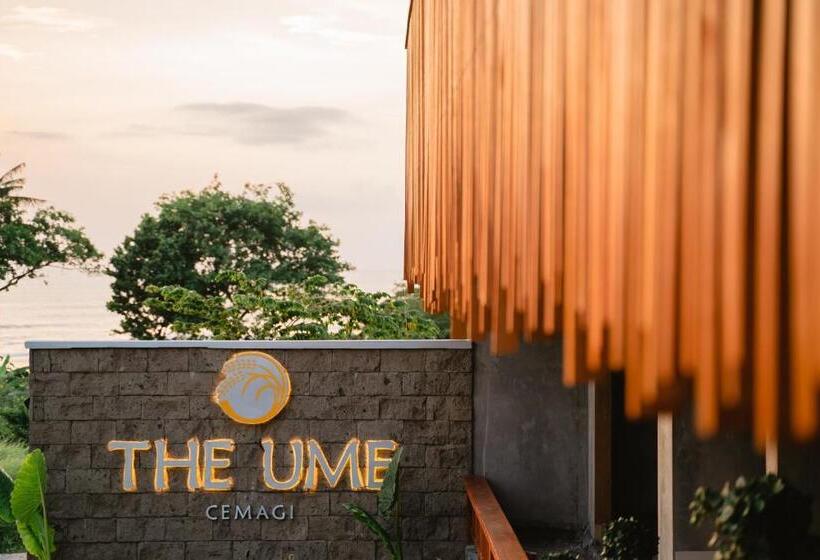 Номер Deluxe, The Ume