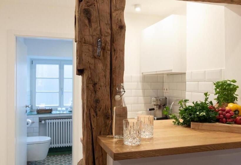 Номер Стандарт, Der Gänsbühl Auf Der Stadtmauer