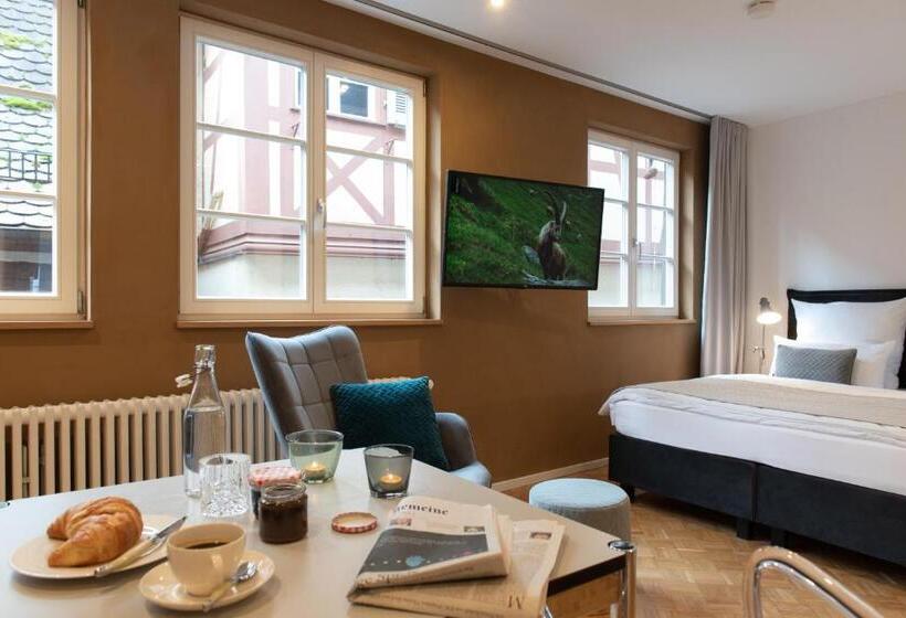 Номер Стандарт, Der Gänsbühl Auf Der Stadtmauer