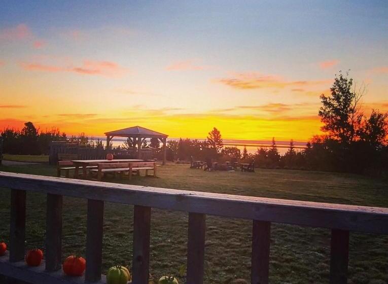 스탠다드 룸, Horizon 777