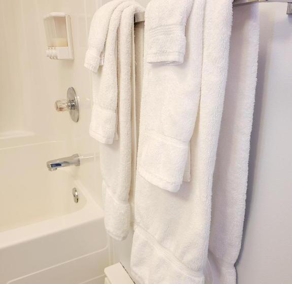 디럭스 룸, Horizon 777