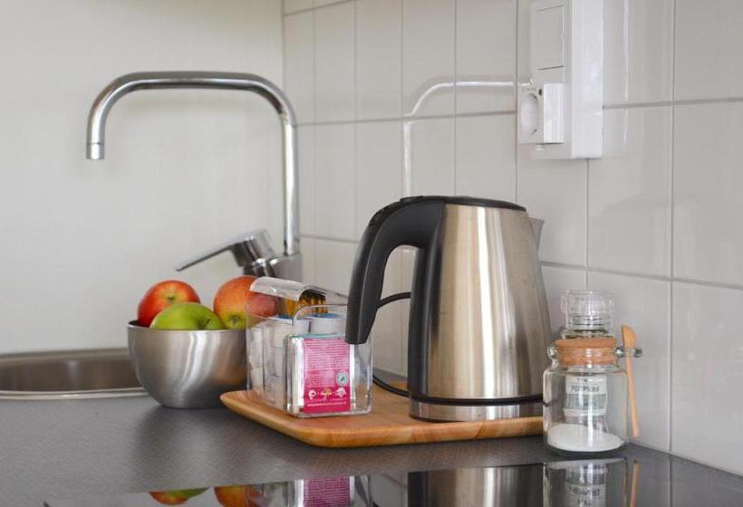 חדר סטנדרט יחיד, Forskarhotellet