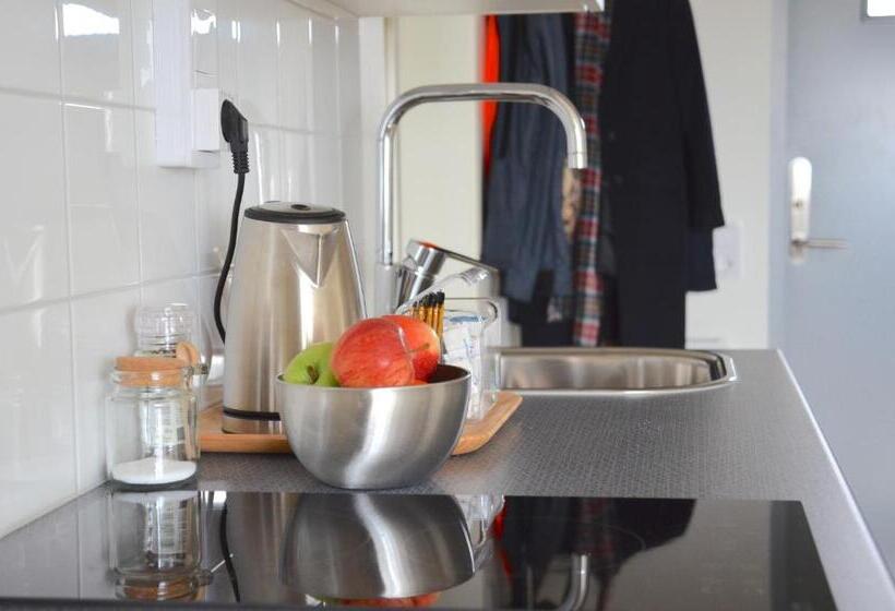 סוויטה, Forskarhotellet