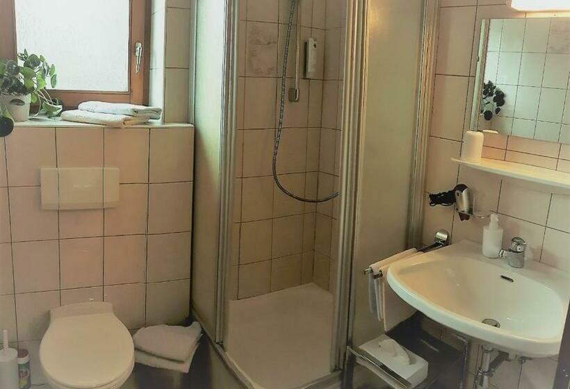 Апартаменты 1 Спальня, Gästehaus Roland