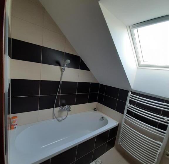 Familjerum, Viktória Lovas Panzió