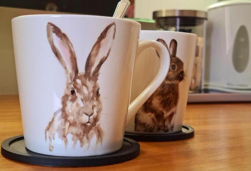 스탠다드 룸, Rutland Rooms