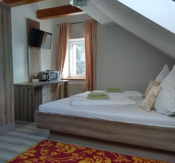 豪华三人间, Pension Goldenes Vogtland