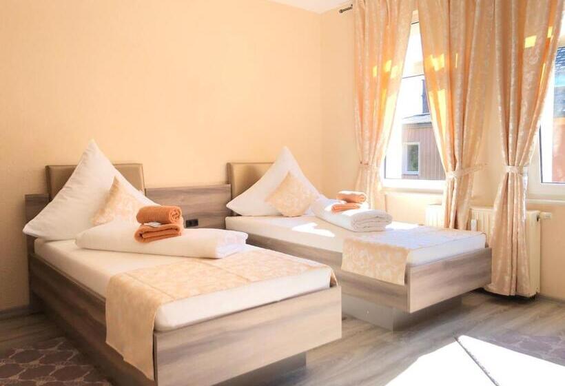 带共用浴室的标准房间, Pension Goldenes Vogtland